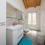 Nika Hvar Island 젤사