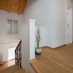 Nika Hvar Island 빌라 젤사
